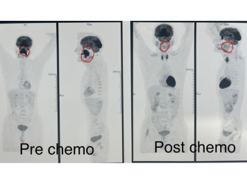 Medical Scans Image