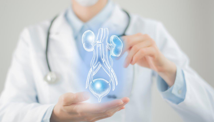 Genitourinary Cancers Image